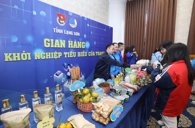 Tỉnh Đoàn Lạng Sơn giúp đỡ hộ gia đình trẻ xoá đói giảm nghèo ảnh 4