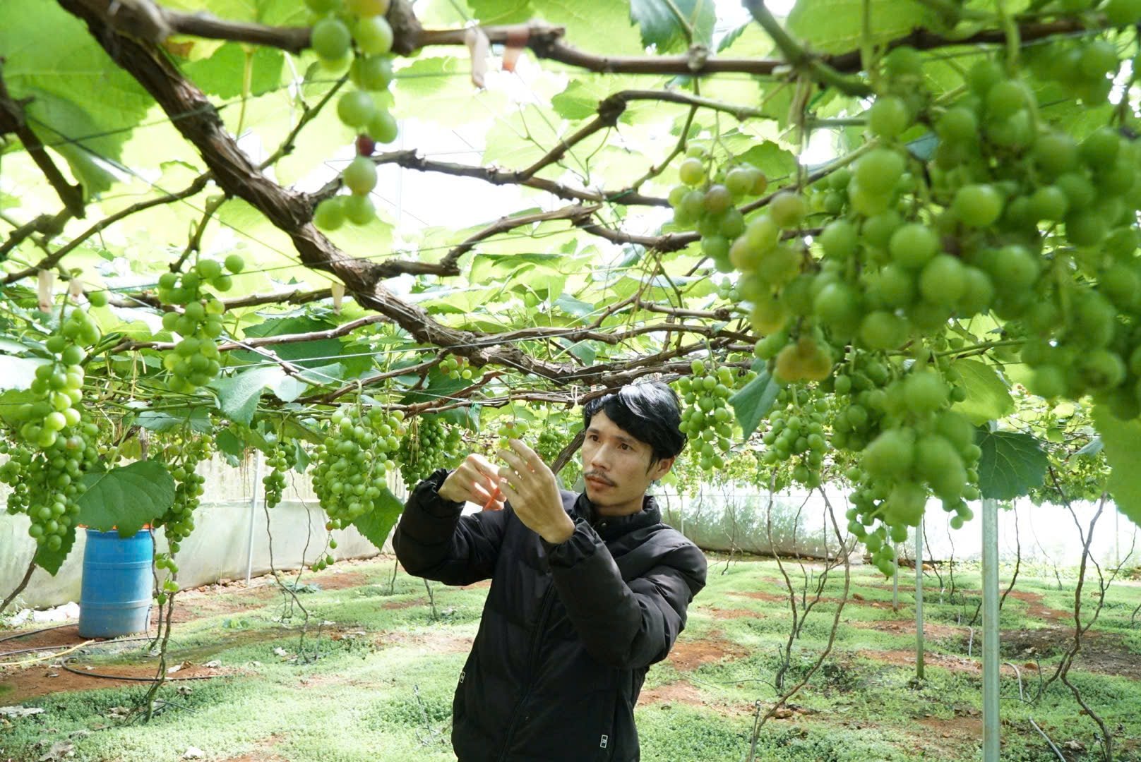 CNCDakNong (6)