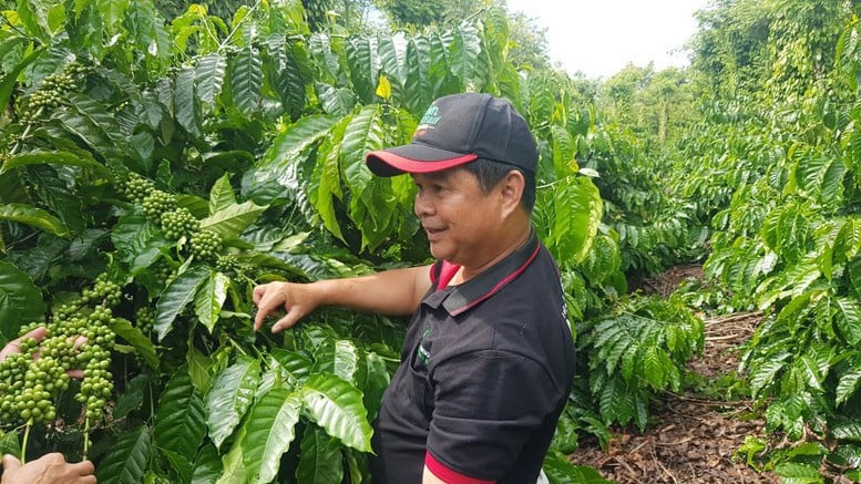 Nestlé Việt Nam đẩy mạnh đầu tư, phát triển bền vững, tiên phong bảo vệ môi trường- Ảnh 2.
