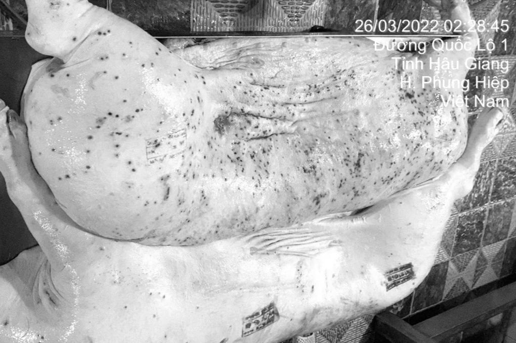 C.P Vietnam announces hot results of dirty pork accusation case - 1