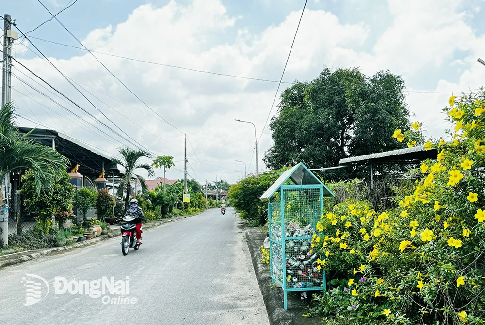 ドンナイ省タンチュウ地区の模型道路。写真：B.グエン