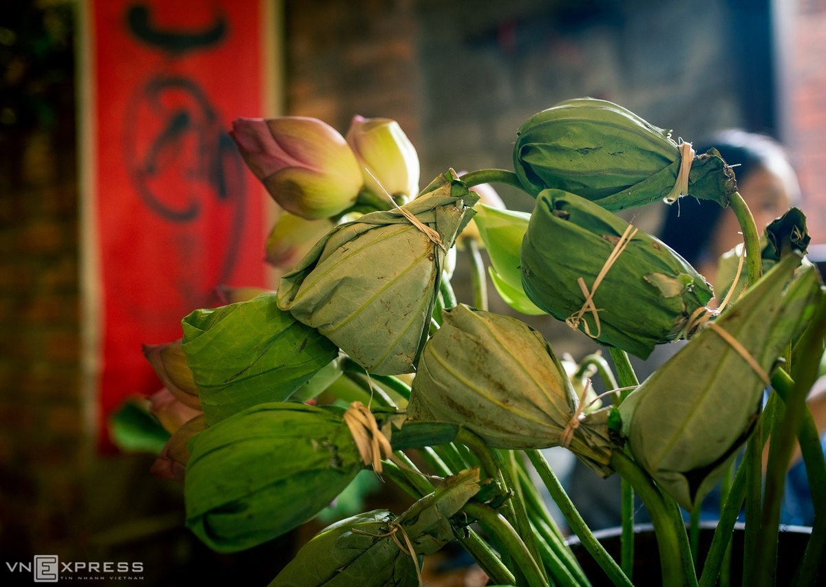 តែផ្កាឈូក - ជាអំណោយដ៏ក្រអូបរបស់ប្រជាជនហាណូយ