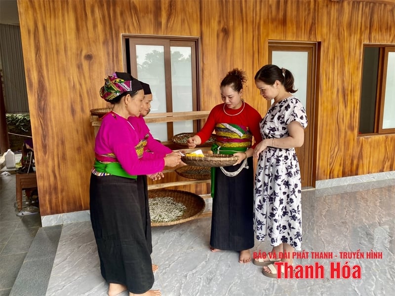ទស្សនវិស័យសេដ្ឋកិច្ចពីគំរូអភិវឌ្ឍន៍ទេសចរណ៍សហគមន៍