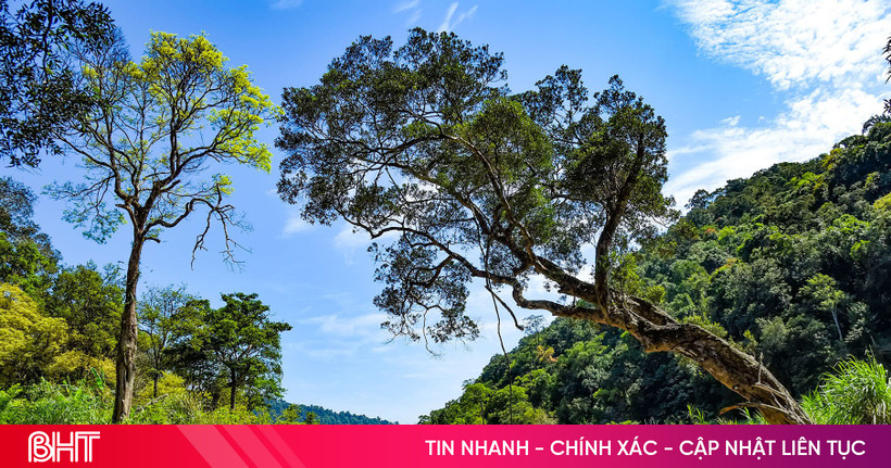 Phê duyệt đề án du lịch sinh thái, giải trí Vườn quốc gia Vũ Quang