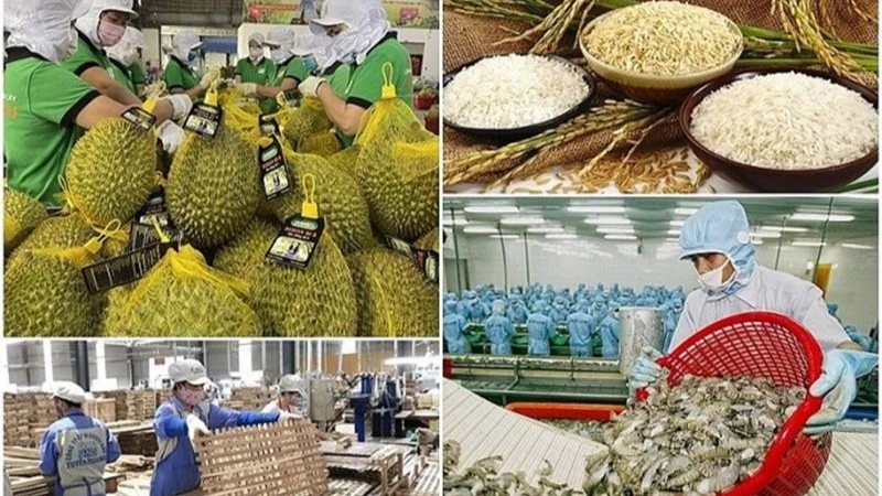 Issue a plan to promote agricultural, forestry and fishery exports by 2025