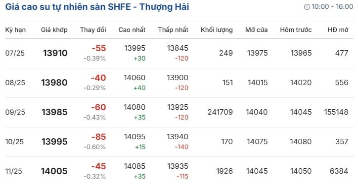 Giá cao su tự nhiên sàn SHFE - Thượng Hải hôm nay