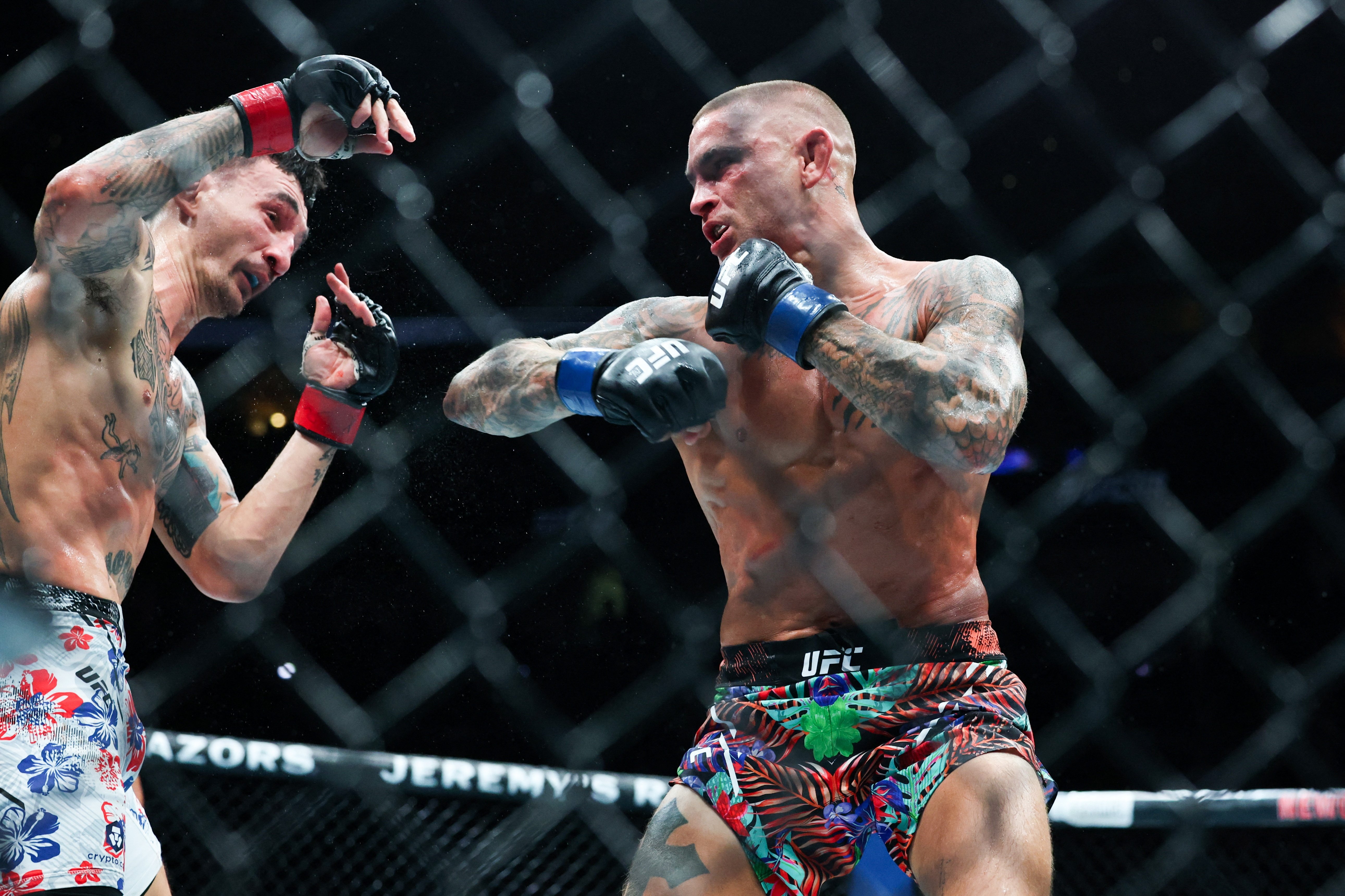 Max Holloway anh 2