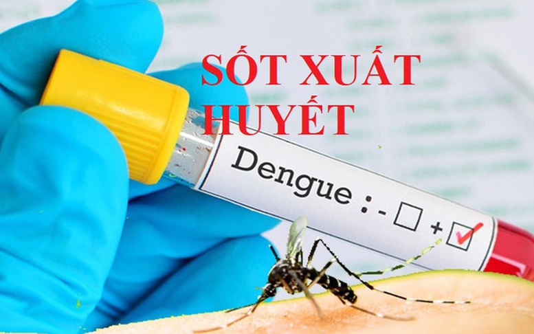 Le Premier ministre demande de renforcer la prévention et le contrôle de la dengue - Photo 1.