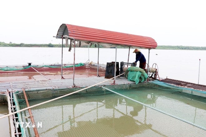 ttxvn-bao-so-3-hai-phong.jpg