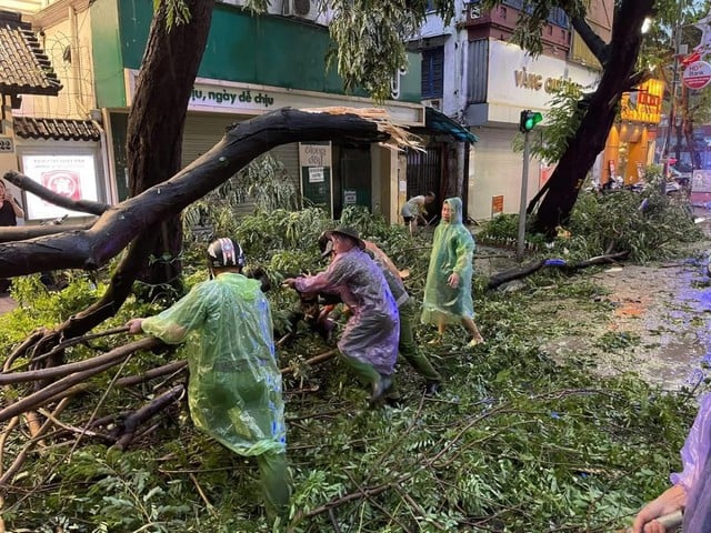 Hà Nội khắc phục ngay tình trạng cây xanh gãy, đổ do ảnh hưởng của trận dông lốc- Ảnh 4.