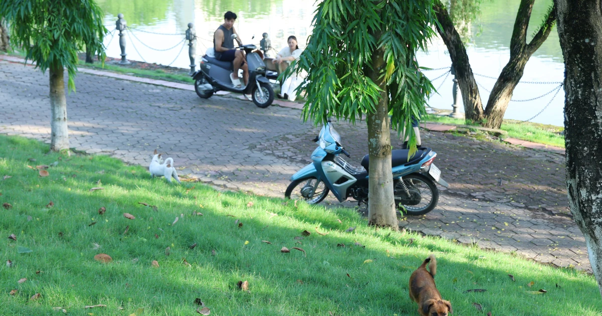 ត្រូវការការចូលរួមពីសហគមន៍ទាំងមូល
