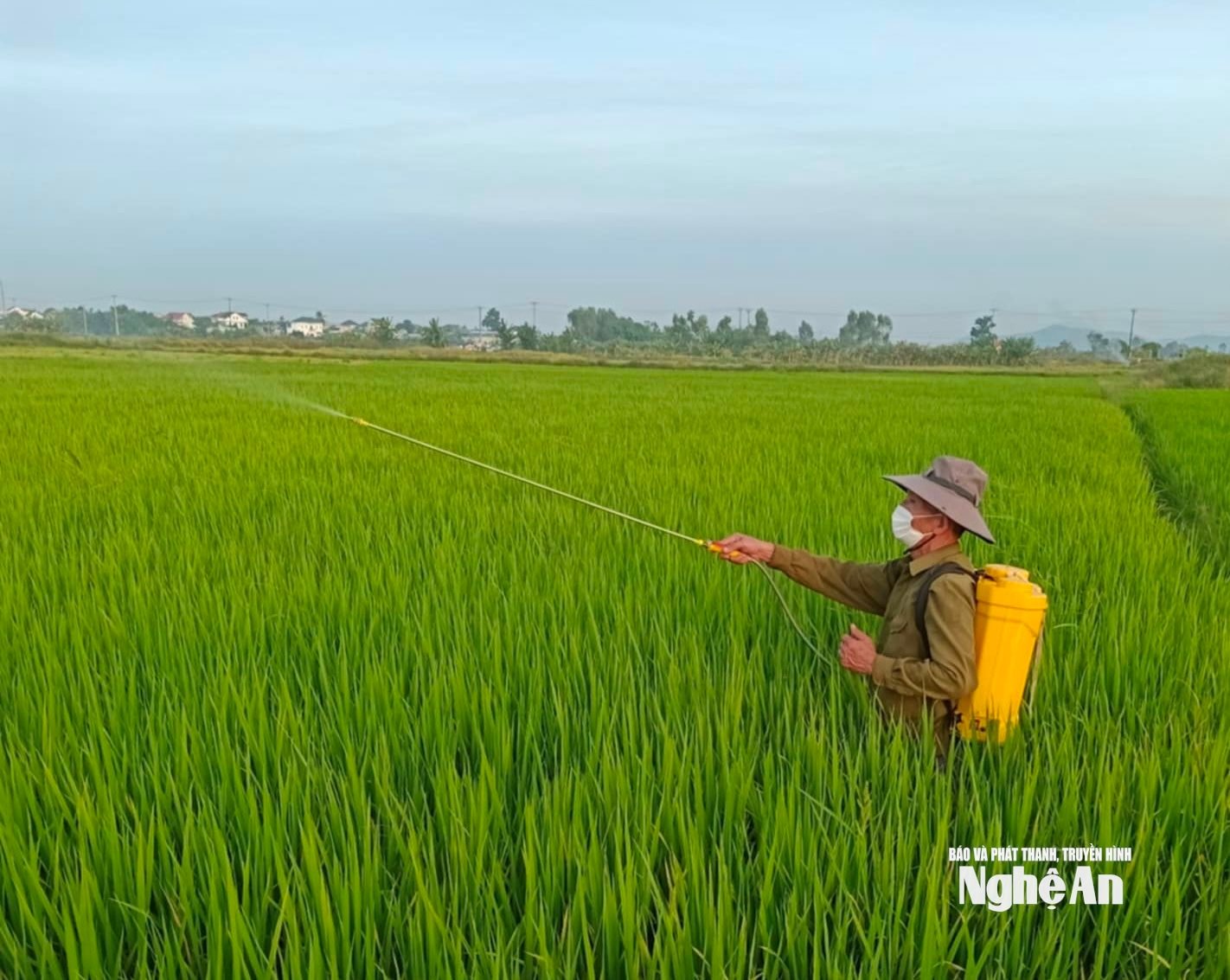 Nông dân xã Quảng Châu đang phun thuốc phòng chống sâu cuốn lá. Ảnh: Văn Trường