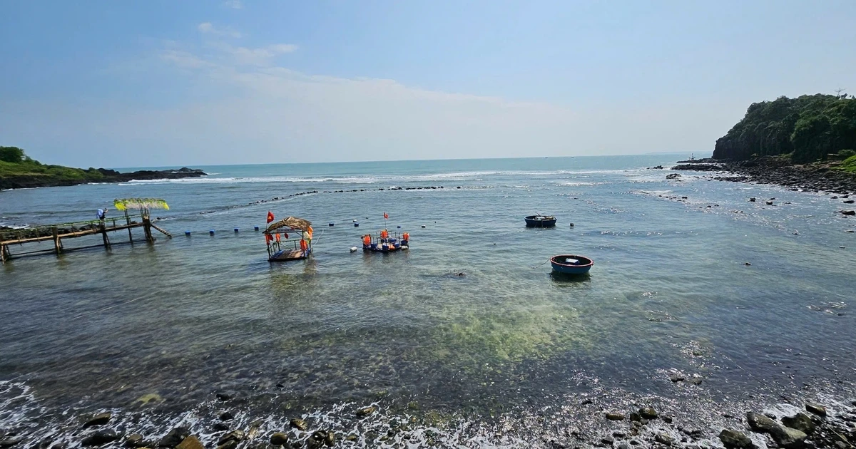 Chủ động tạm dừng hoạt động vui chơi, giải trí, du lịch để đảm bảo an toàn trước bão số 3