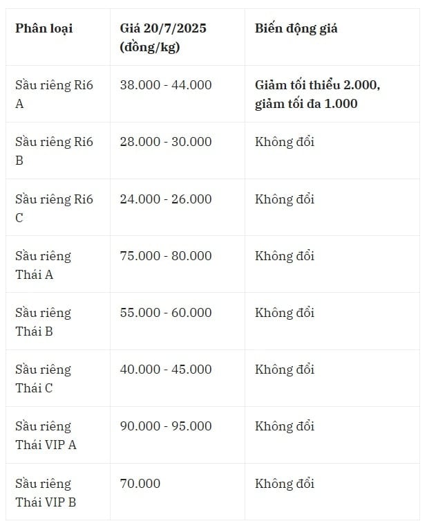 Giá sầu riêng trong nước hôm nay 20 7 2025 tại khu vực miền Đông Nam Bộ
