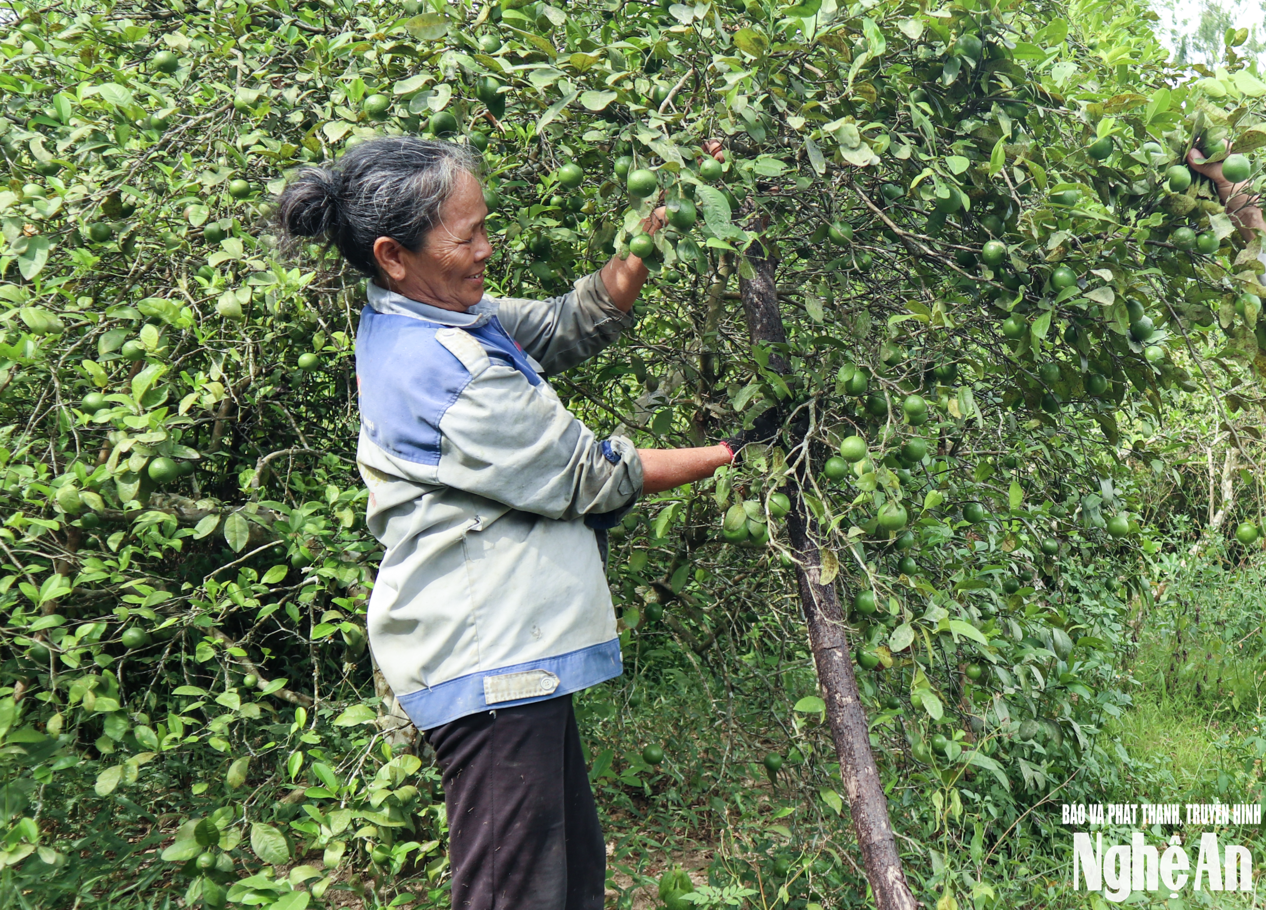 bna_chanh-2(1).png