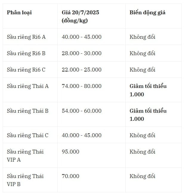 Giá sầu riêng trong nước hôm nay 20 7 2025 tại khu vực Tây Nguyên