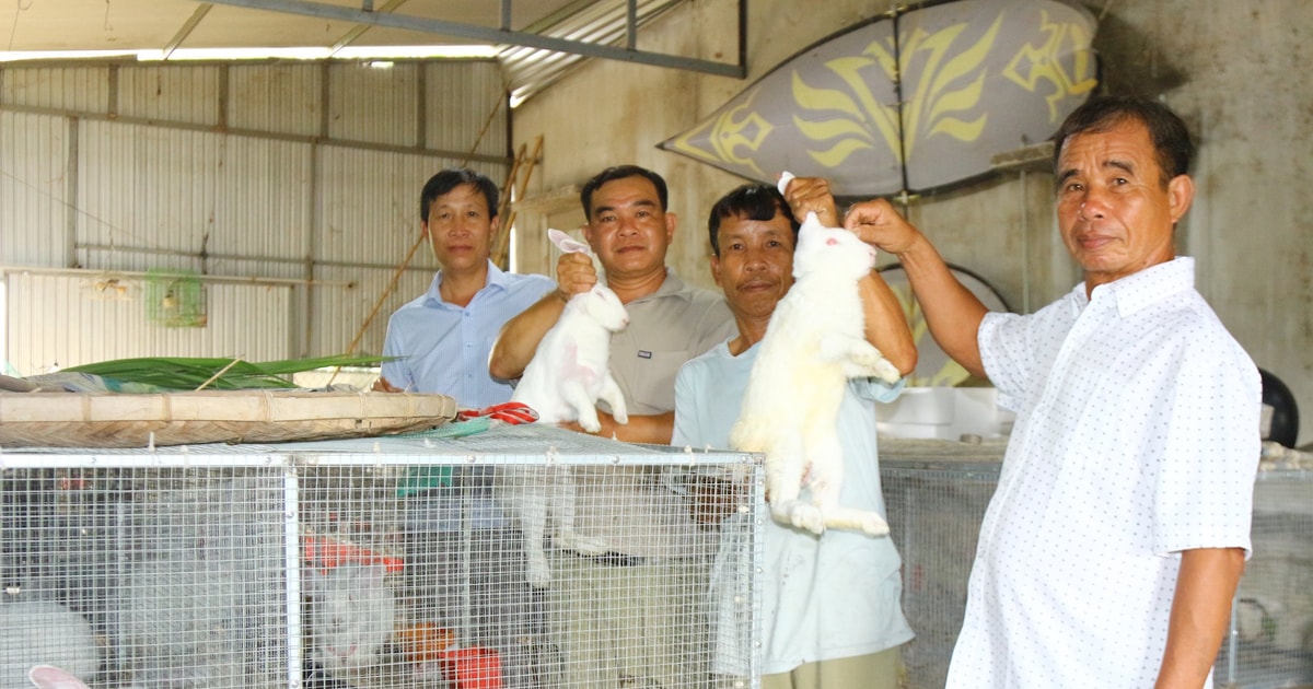 Đồng bào Tày, Nùng ra sức phát triển kinh tế