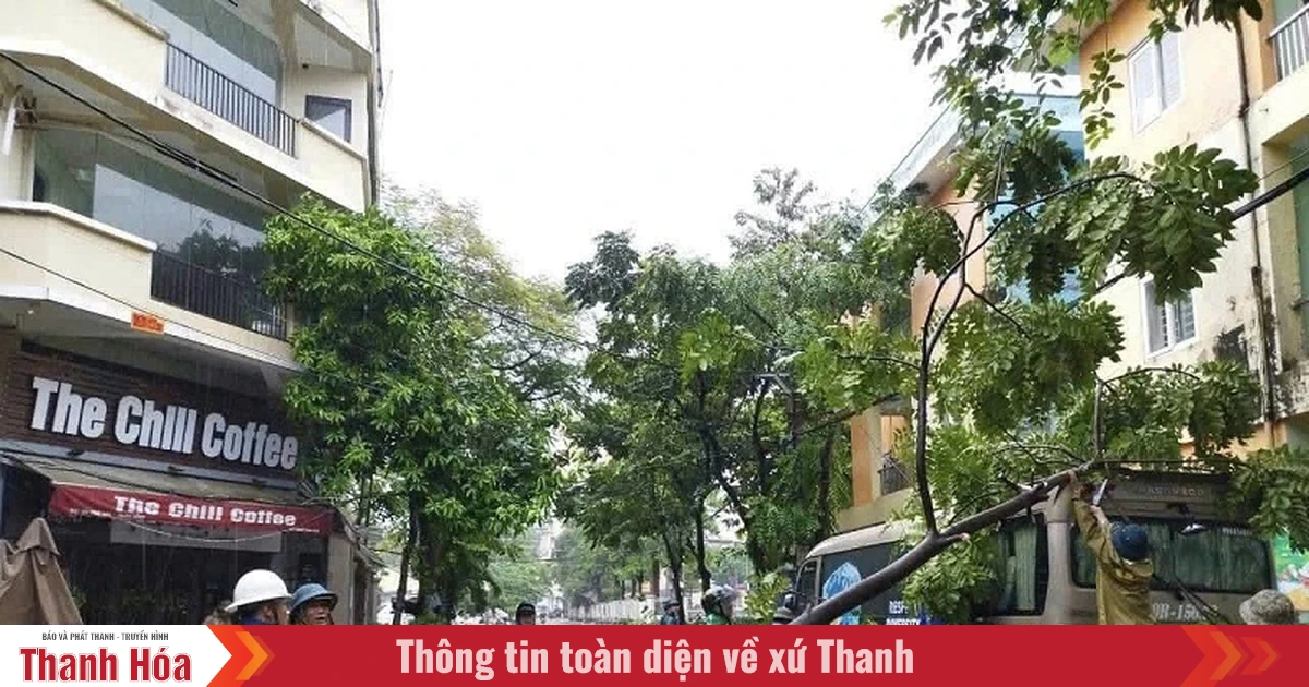 Mưa và gió giật mạnh khiến hàng loạt cây xanh gãy đổ