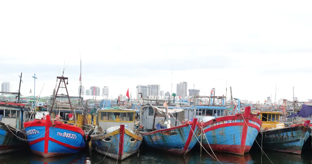 Đà Nẵng huy động toàn lực ứng phó bão số 3 (Wipha)