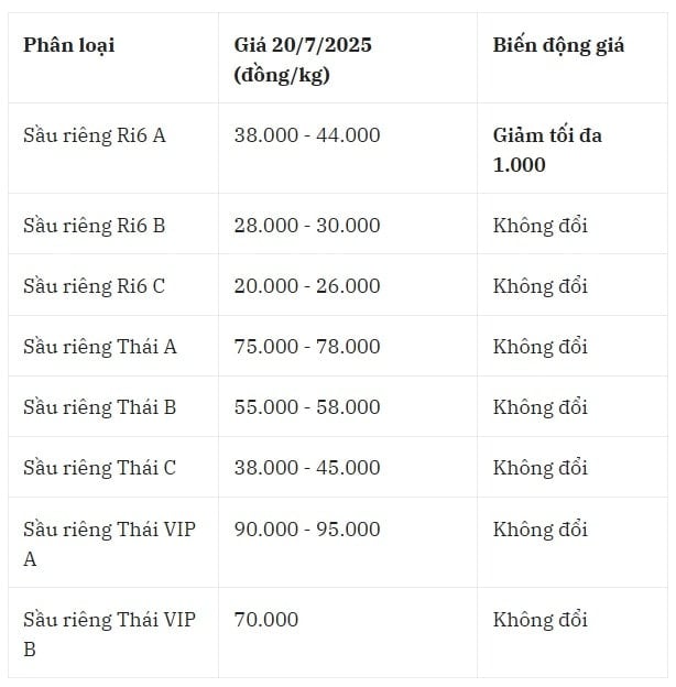 Giá sầu riêng trong nước hôm nay 20 7 2025 tại khu vực miền Tây Nam Bộ (Đồng Bằng Sông Cửu Long)