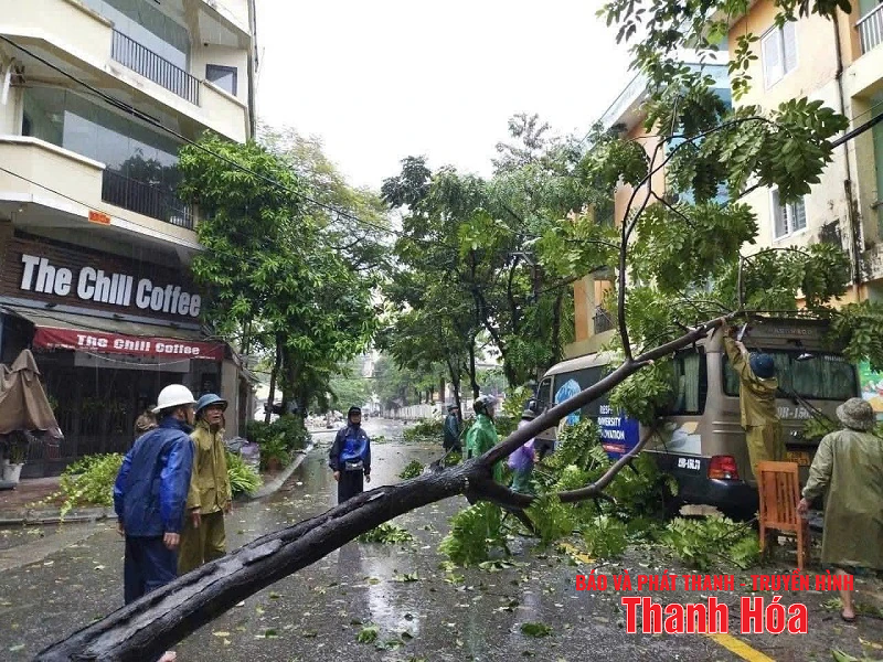 Ảnh hưởng bão số 3 (Wipha), mưa gió giật mạnh, hàng loạt cây xanh gãy đổ