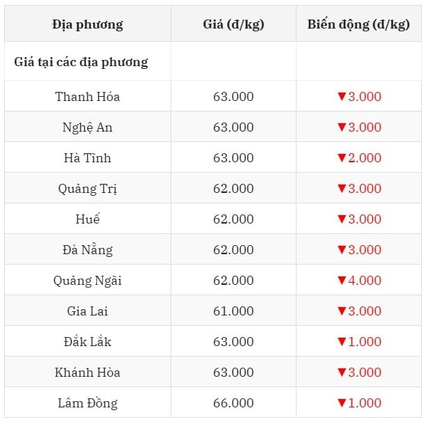 Giá heo hơi hôm nay 20 7 2025 tại miền Trung - Tây Nguyên