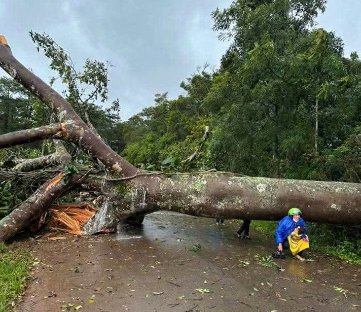 a19.jpg
