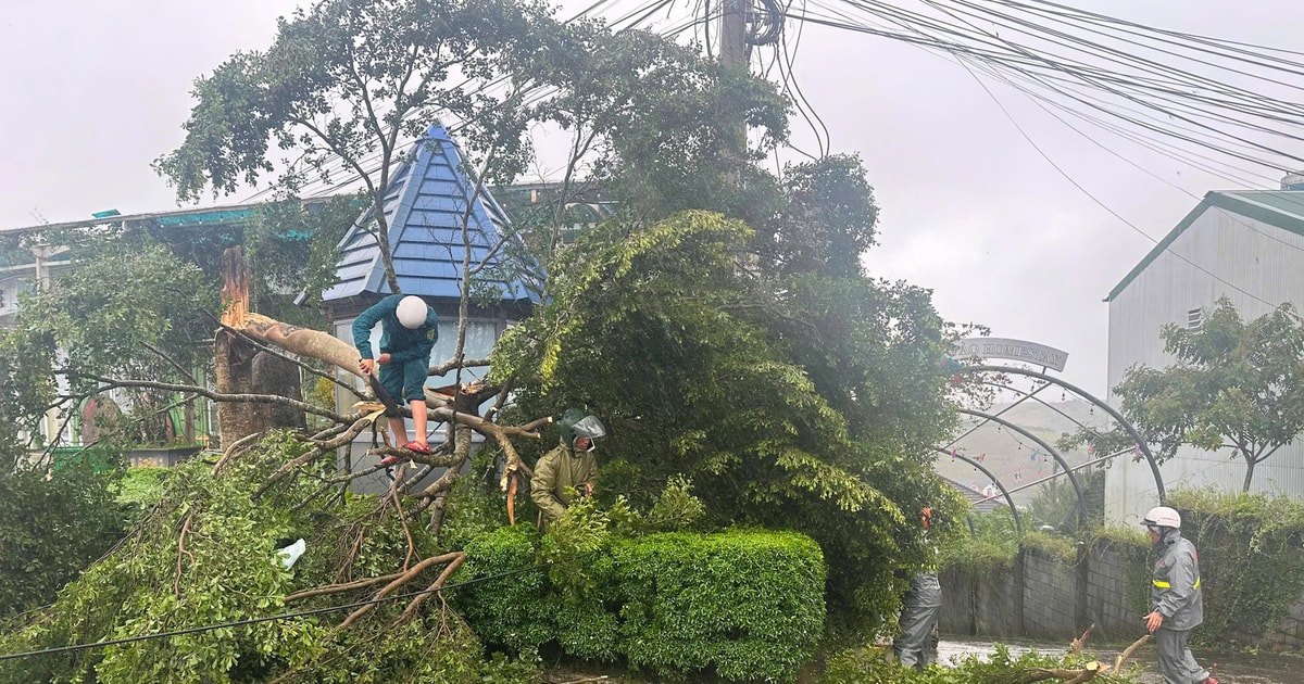 Lam Dong urgently responds to storm number 3