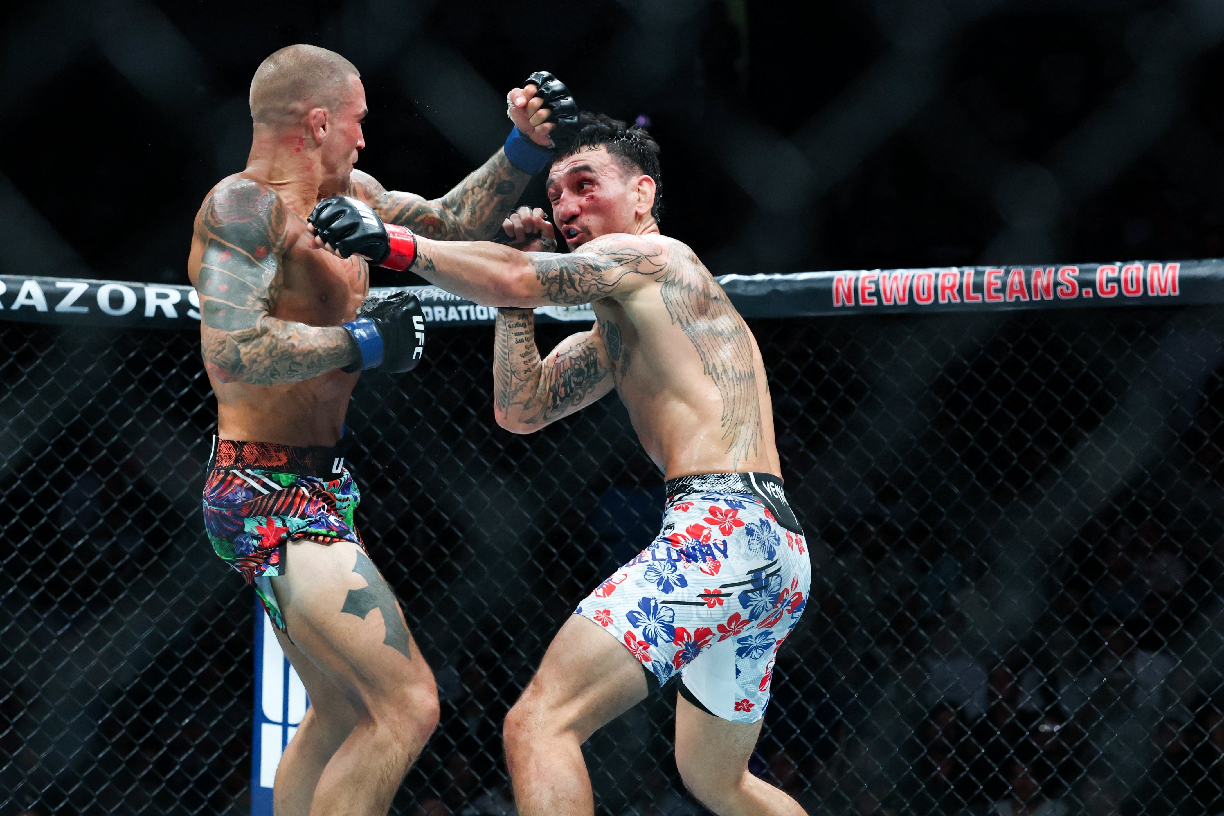 Max Holloway anh 1