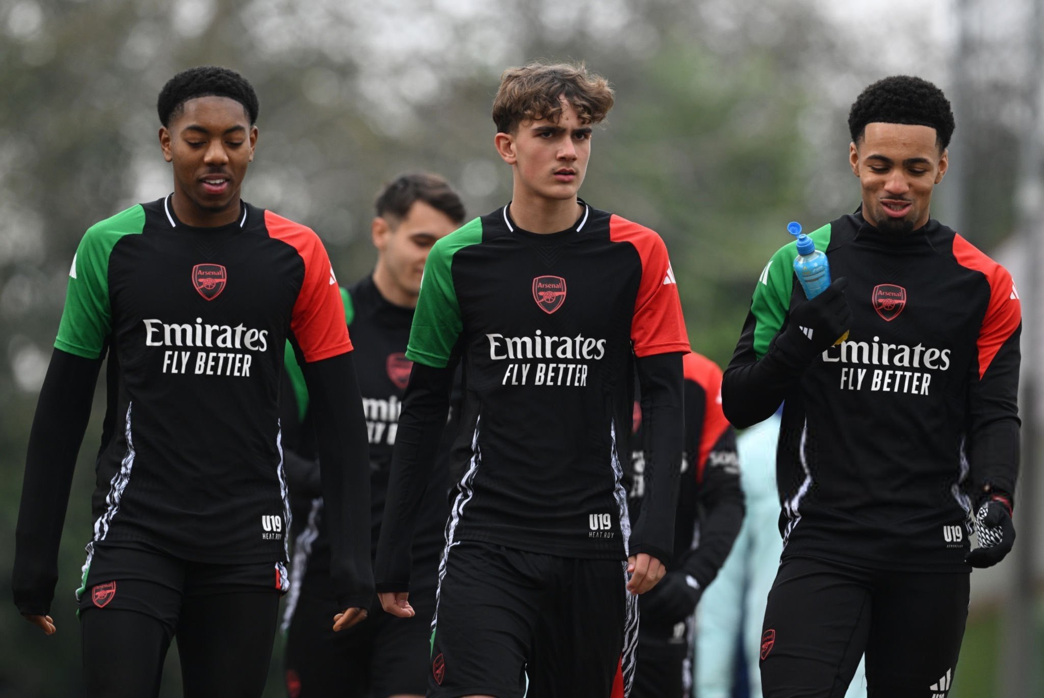 Arsenal anh 1
