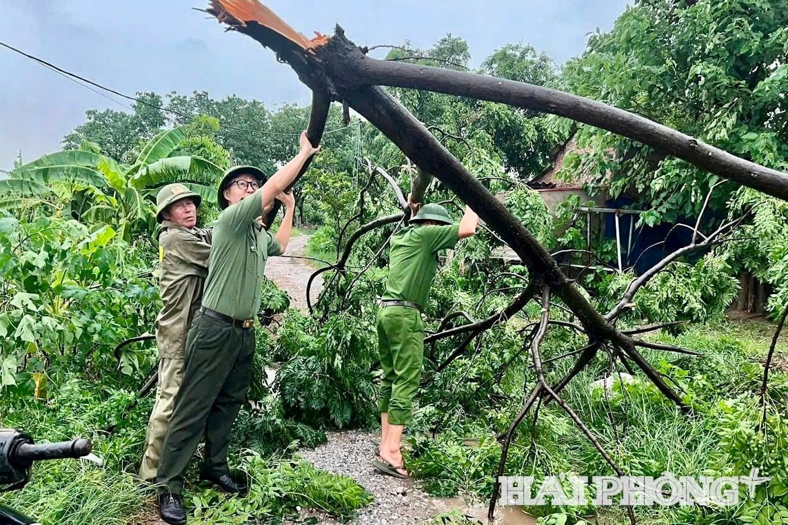 Đoàn Thanh niên Công an xã Trần Phú hỗ trợ người dân gia cố nhà cửa, phát quang, dọn dẹp cây cối đổ gãy cản trở giao thông