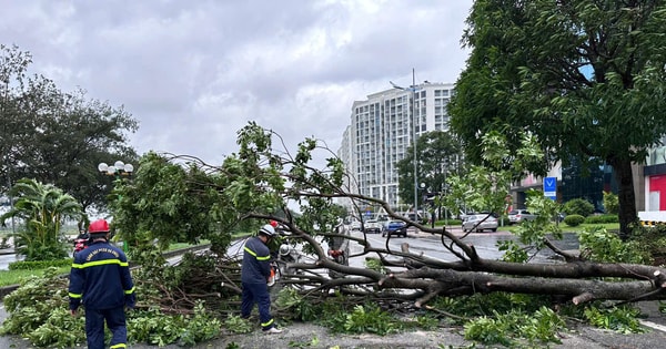Bão số 3 gây gió mạnh, mưa lớn tại Hà Nội và nhiều tỉnh, thành phố