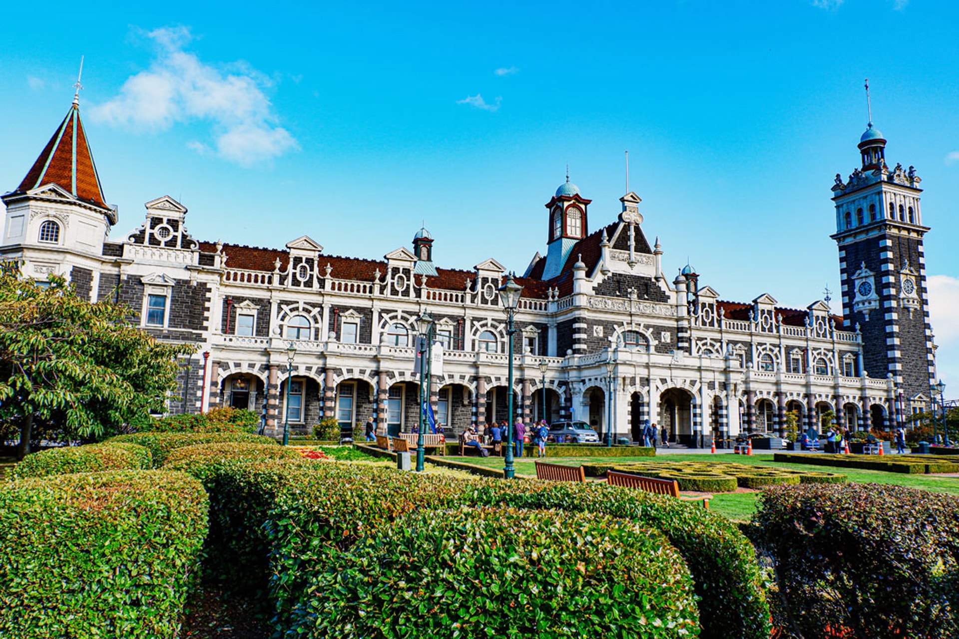 Dunedin - thành phố sinh học và sinh thái