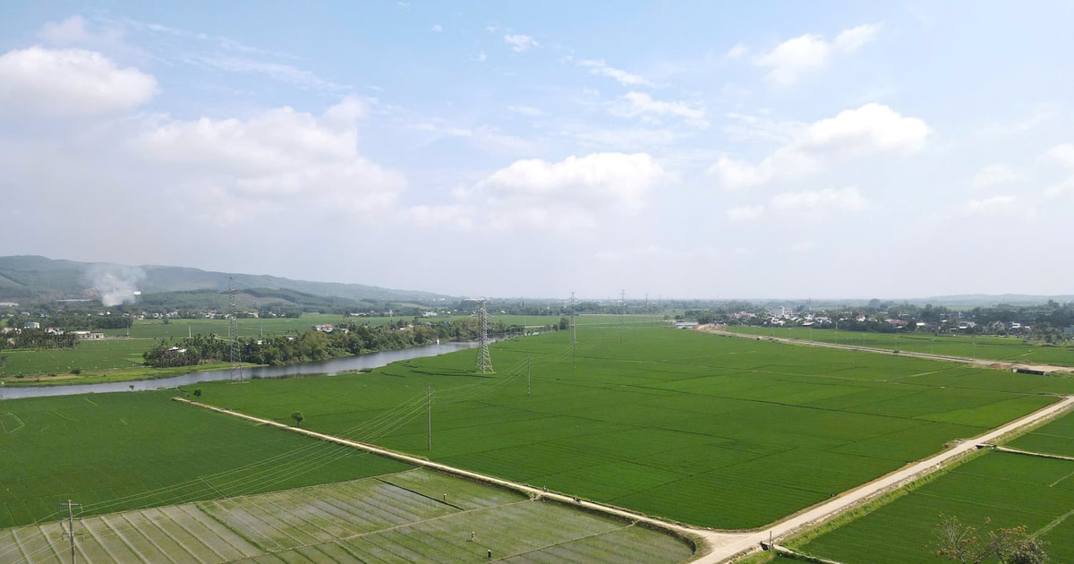 Dai Loc chooses agriculture and high-tech industry for sustainable economic development