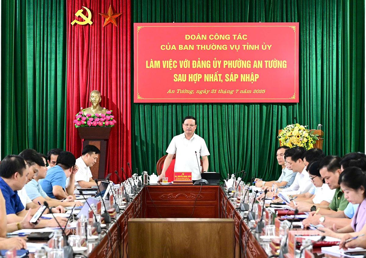 Đồng chí Phó Chủ tịch UBND tỉnh Nguyễn Mạnh Tuấn phát biểu tại buổi làm việc.