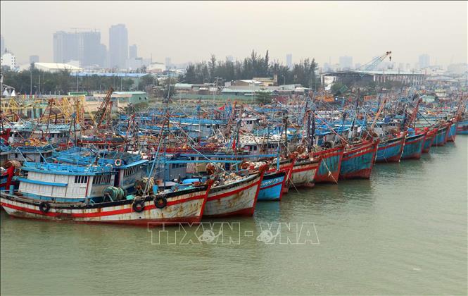 Đà Nẵng: Chủ động triển khai các biện pháp ứng phó với bão số 3 - Ảnh 1.