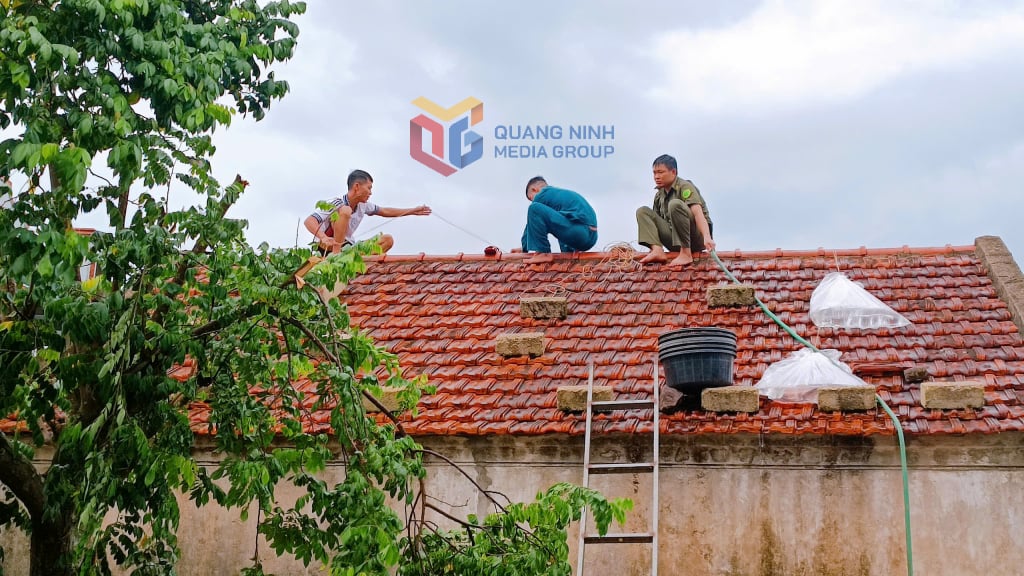 Lực lượng chức năng và chính quyền địa phương hỗ trợ nhân chằng chống nhà cửa phòng chống bão
