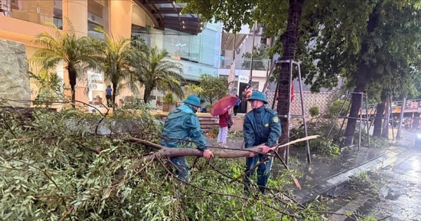 Phường Đống Đa sẵn sàng ứng phó với bão số 3