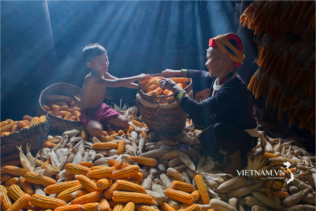 Hạnh phúc mùa vàng