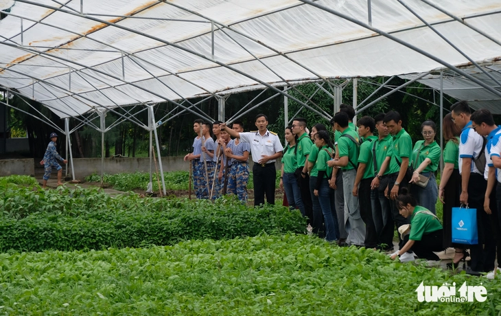 Chuông vàng vọng cổ - Ảnh 4.