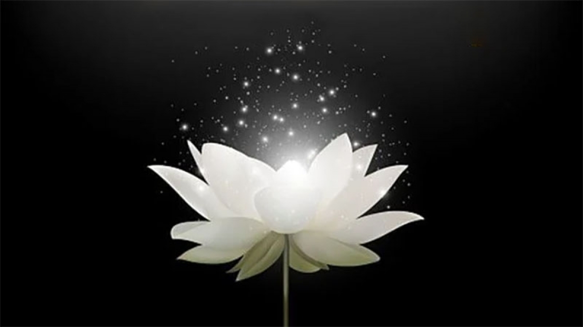 Lời cảm ơn của gia đình Đại sứ Nguyễn Thị Nguyệt Nga