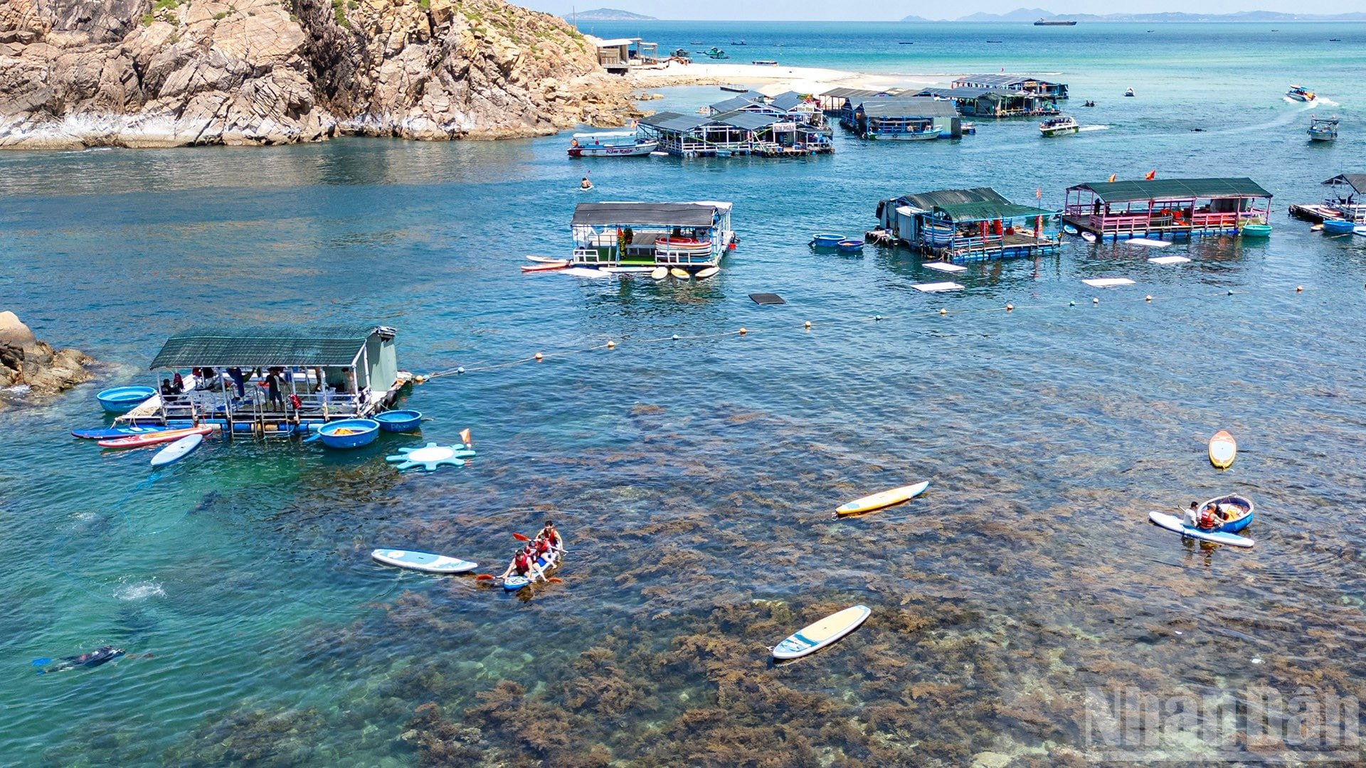 ndo_br_anh-bai-nhon-hai-5.jpg