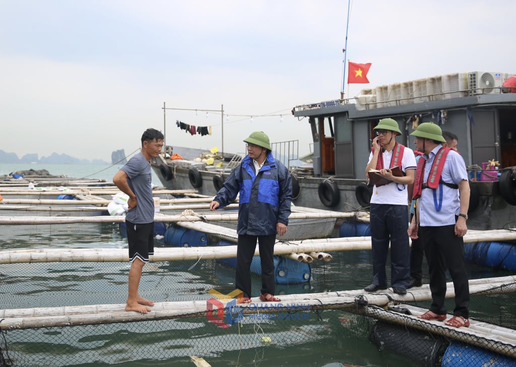 Đồng chí Cao Tường Huy, Bí thư Đảng uỷ, Chủ tịch HĐND Đặc khu Vân Đồn kiểm tra khu vực nuôi bè và vận động người dân lên bờ tránh trú bão an toàn.