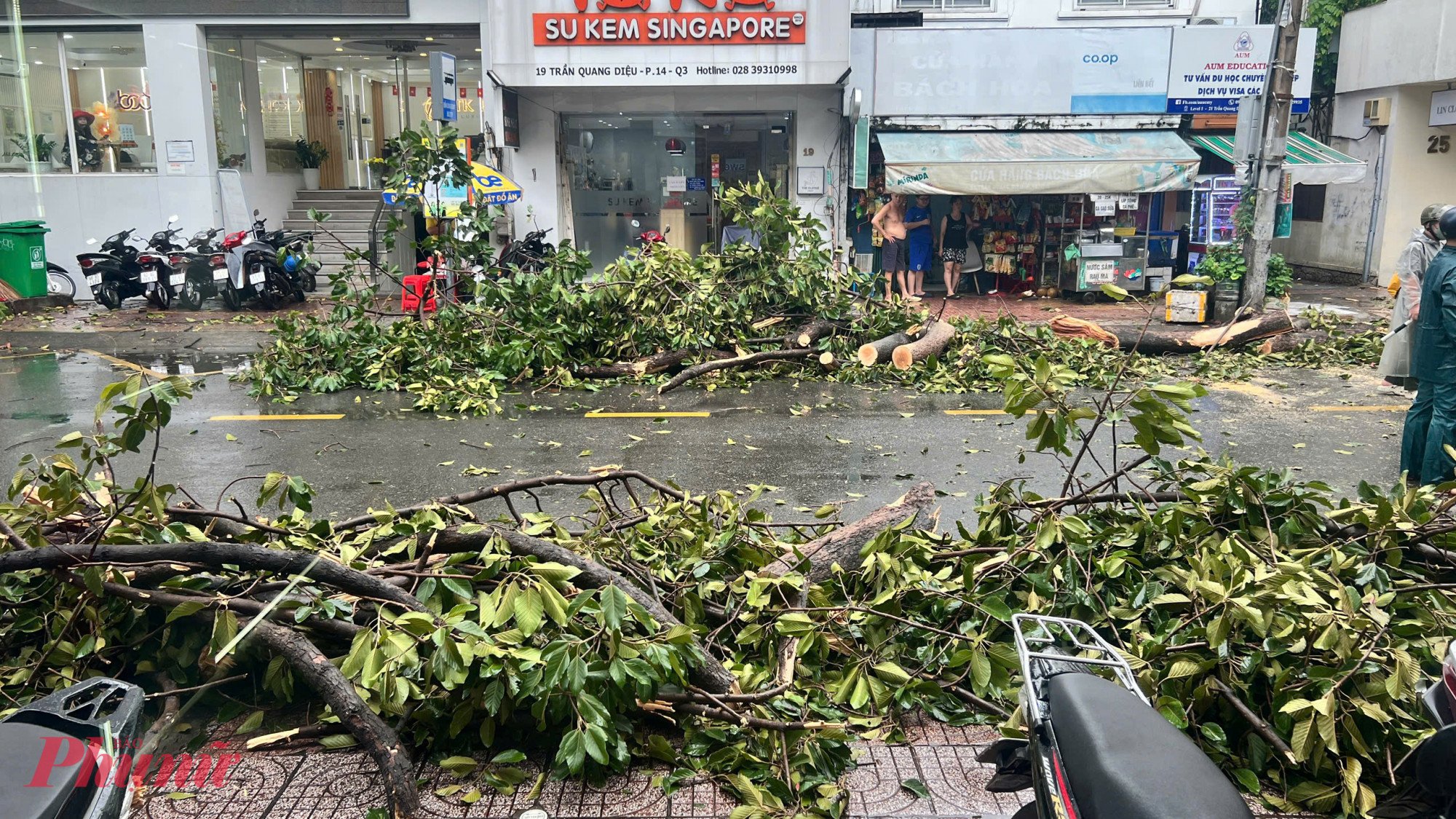 Trưa 20/7, mưa dông lớn xảy ra trên diện rộng ở TPHCM, cây xanh trên nhiều tuyến đường bị gãy nhánh, ngã đổ - Ảnh: Thanh Tâm