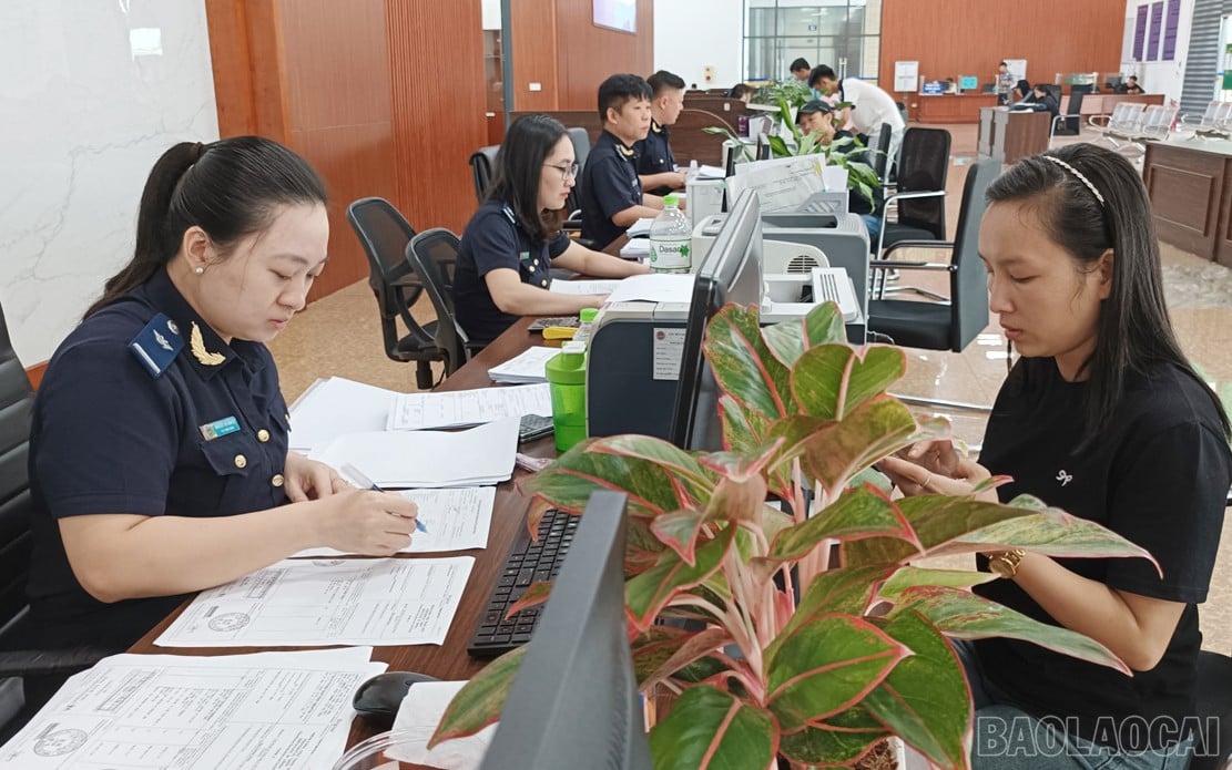 baolaocai-br_hq1111.jpg