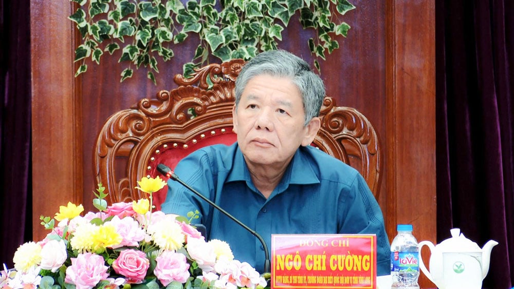 El camarada Ngo Chi Cuong, miembro del Comité Central del Partido, secretario del Comité Provincial del Partido y jefe de la delegación de la Asamblea Nacional del 15º mandato de la provincia de Vinh Long, presidió la conferencia.