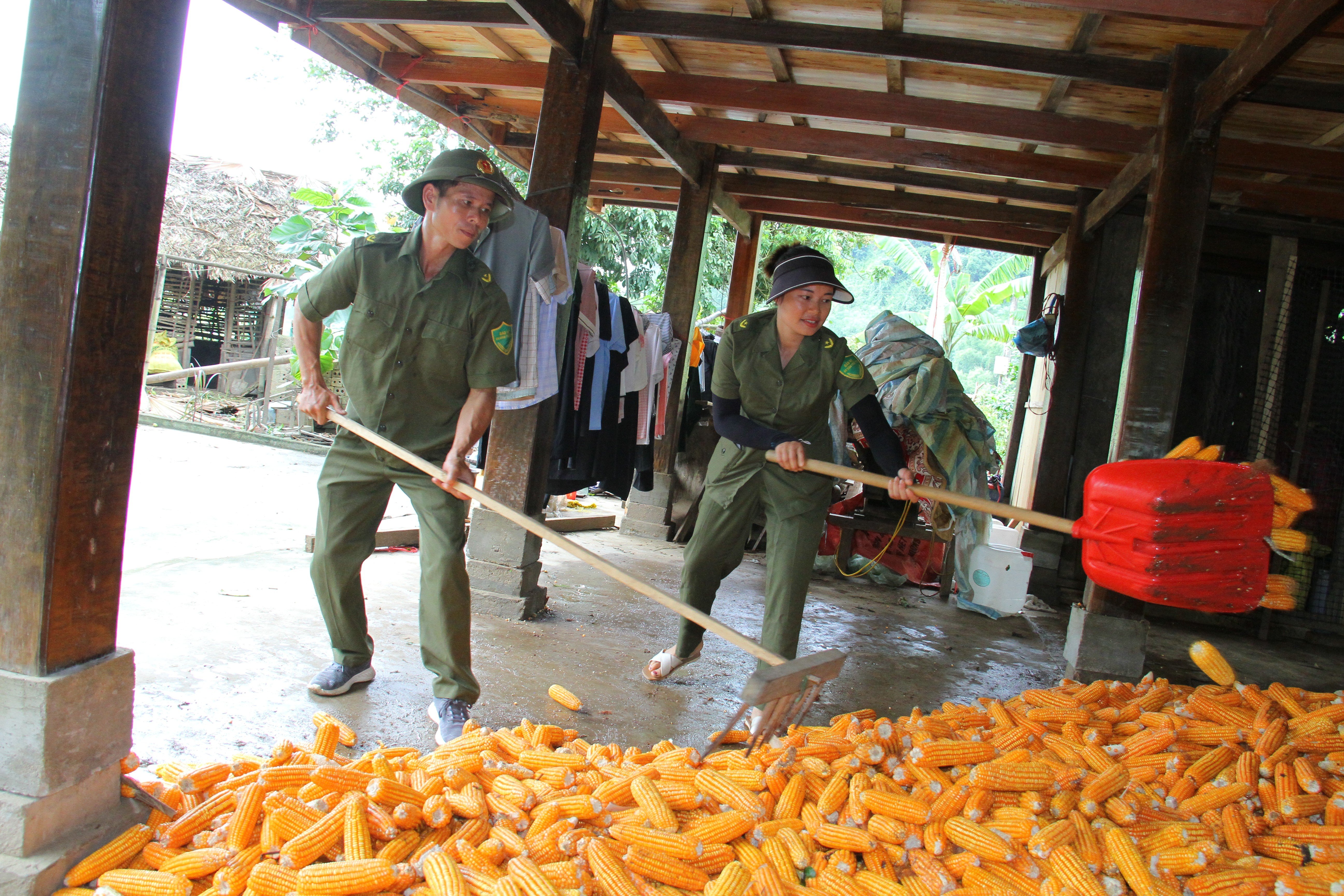 luc-luong-ancs-giup-ba-con-thu-gom-nong-san.jpg