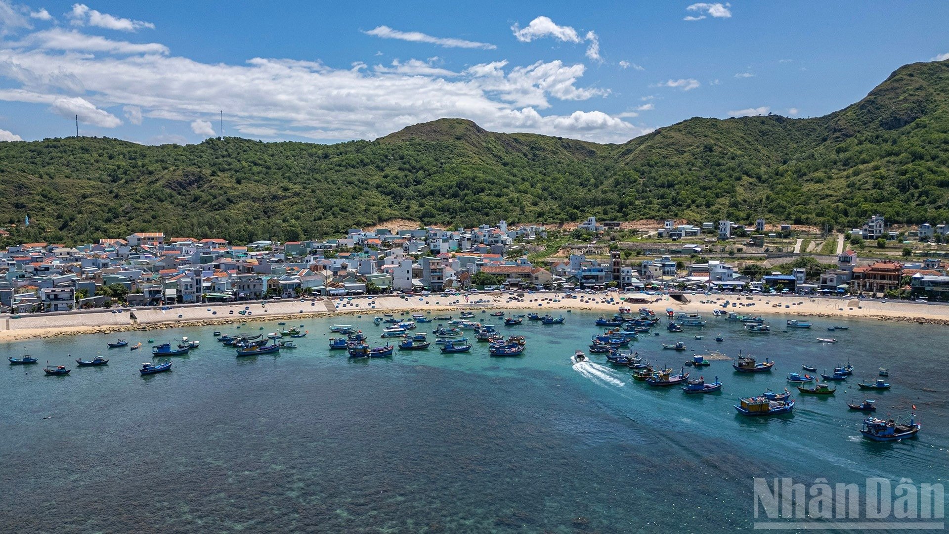 ndo_br_anh-bai-nhon-hai-10.jpg