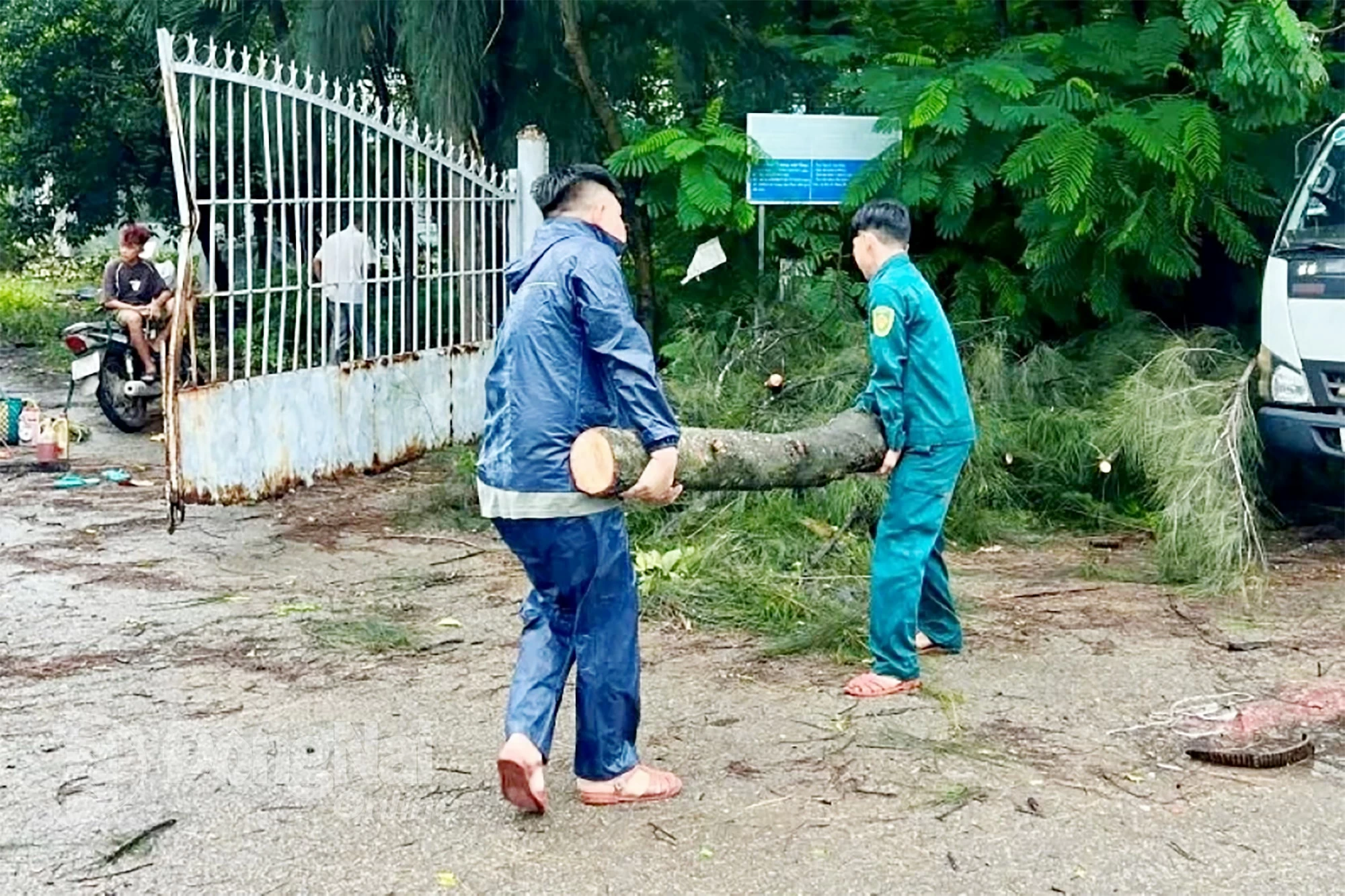 Die Behörden des Bezirks Bien Hoa räumen am 20. Juli bei starkem Regen umgestürzte Bäume weg. Foto: Beitragender