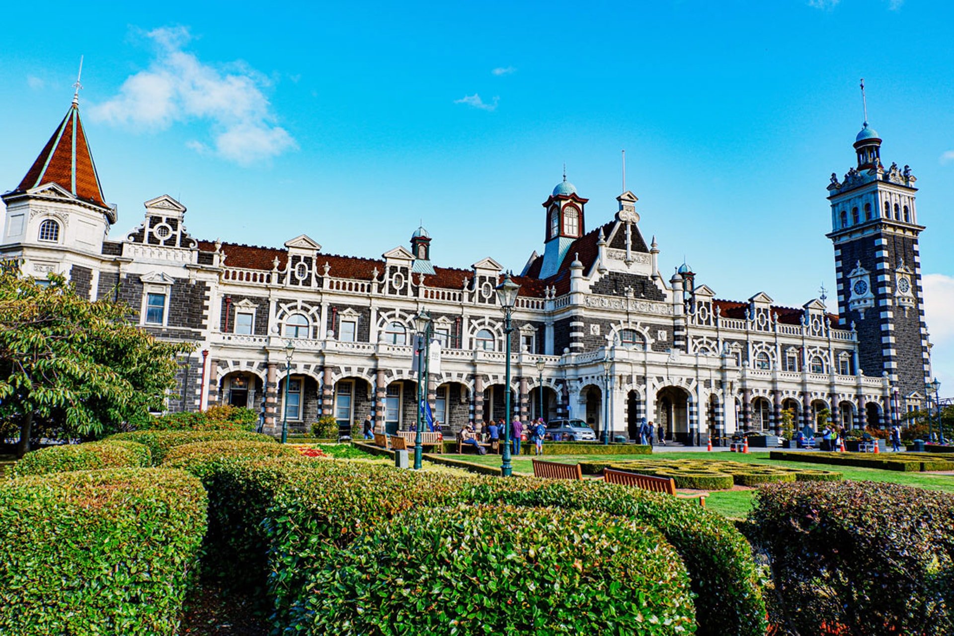 dunedin-thanh-pho-sinh-hoc-va-sinh-thai.jpg